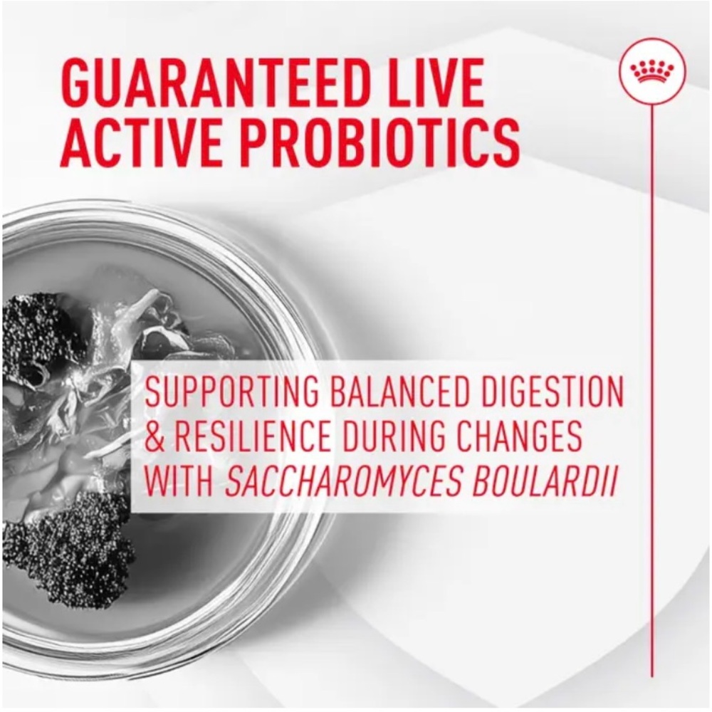 ROYAL CANIN Probiotics for cats - Picture 4 of 8